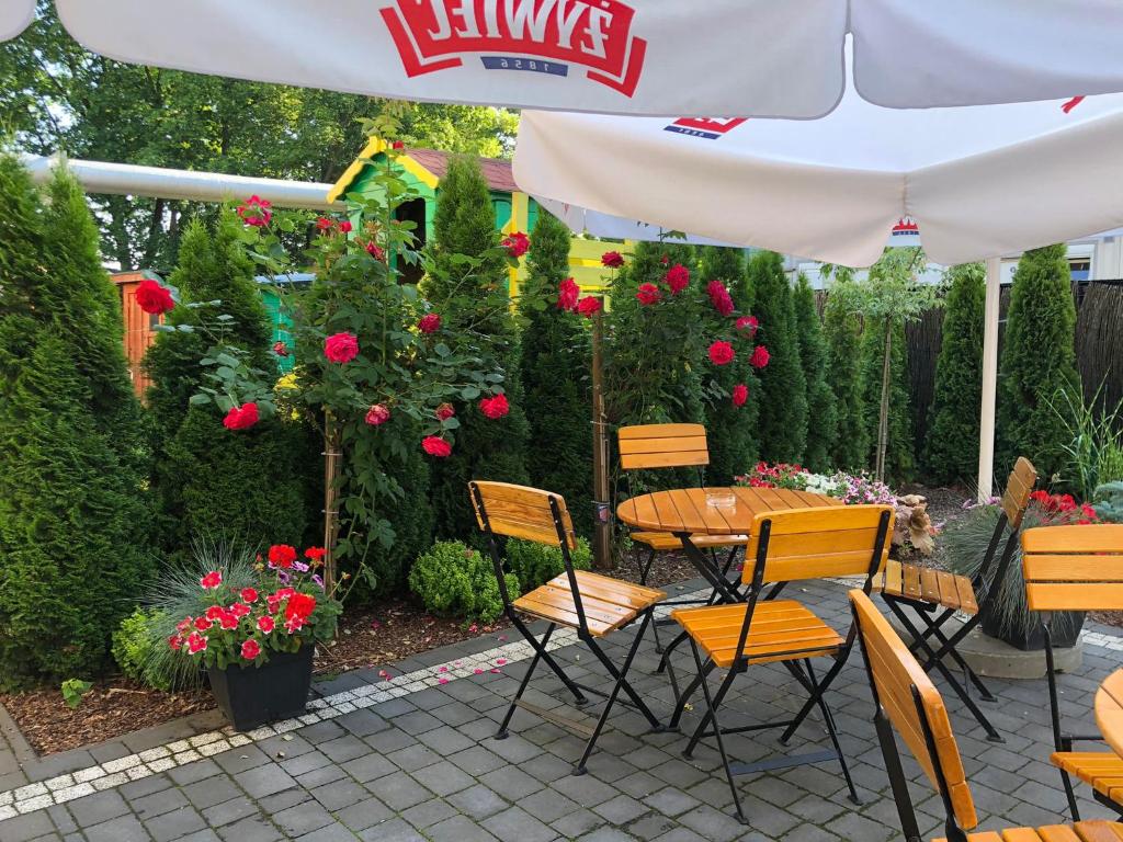 Zahrada ubytování Hotel Dąbrowski