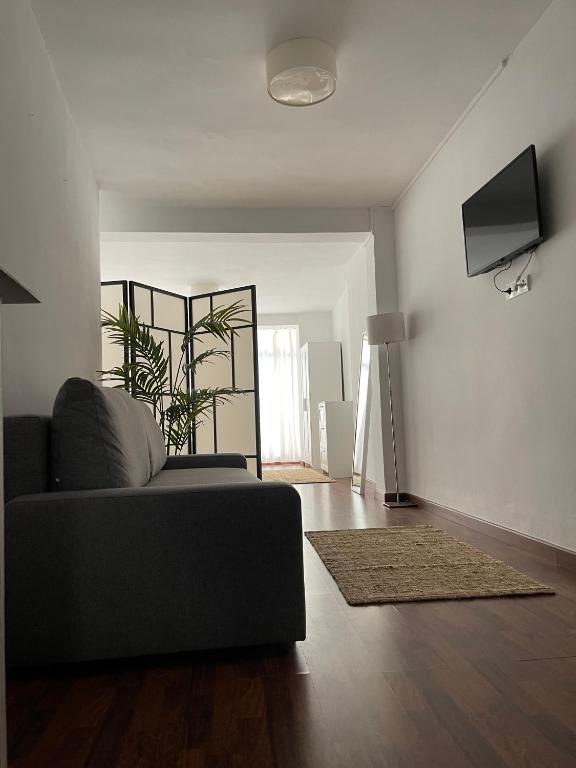 Televízia a/alebo spoločenská miestnosť v ubytovaní IRUA APARTAMENTOS