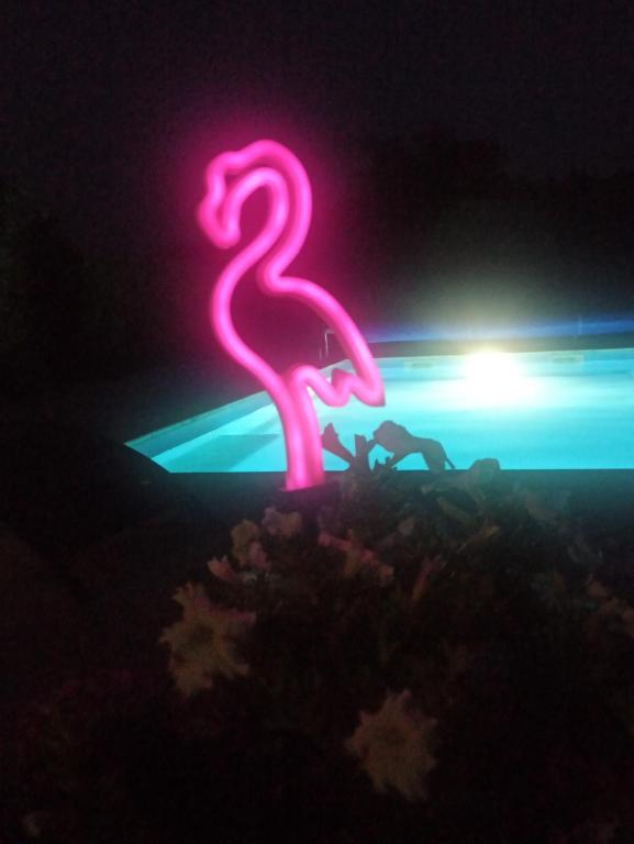 Basen w obiekcie Magnolia lub w pobliżu