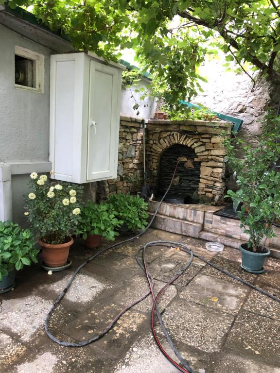 Zahrada ubytování Apartment Lui