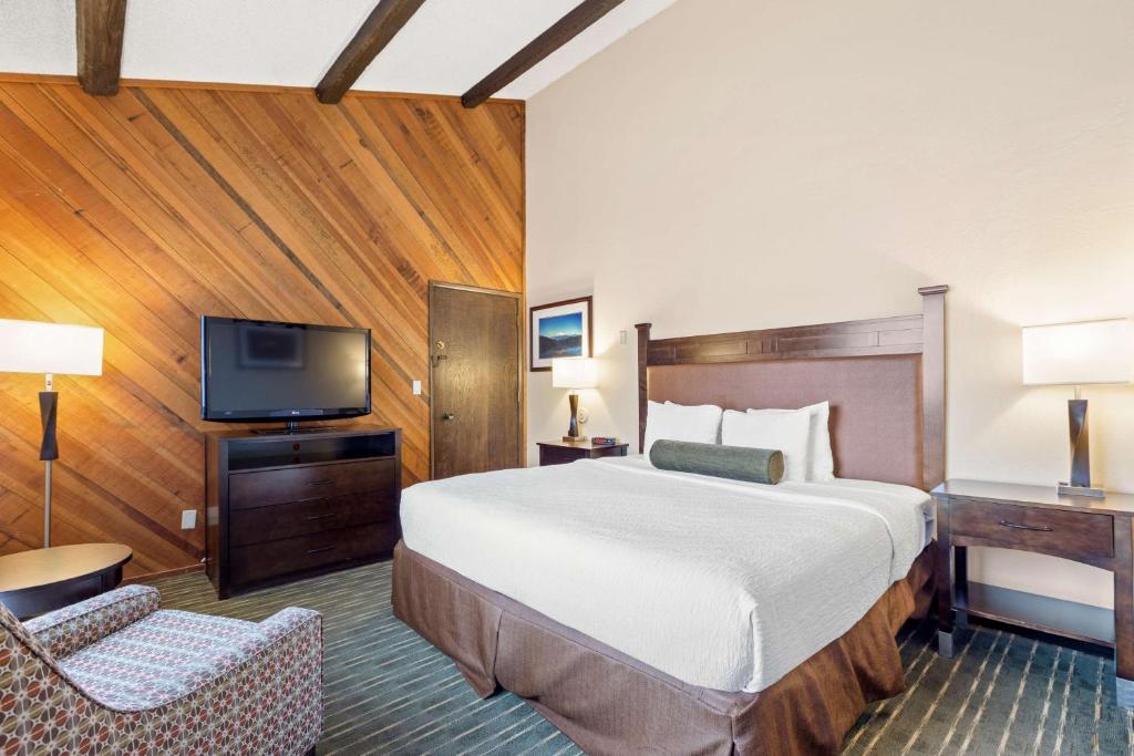 Best Western Plus Tree House - Error