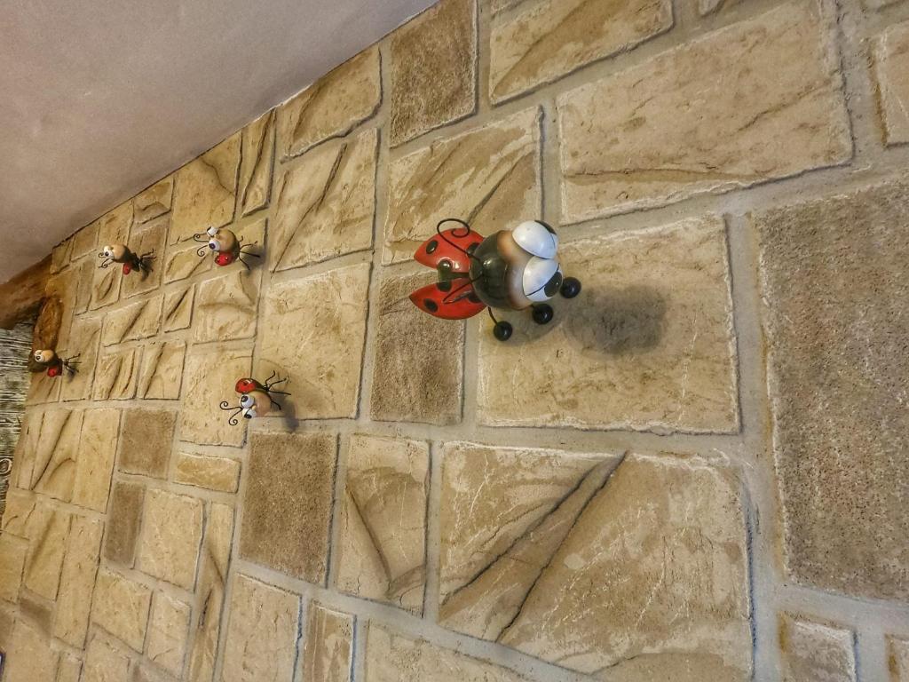 Cazorla Paraíso Resort - 11