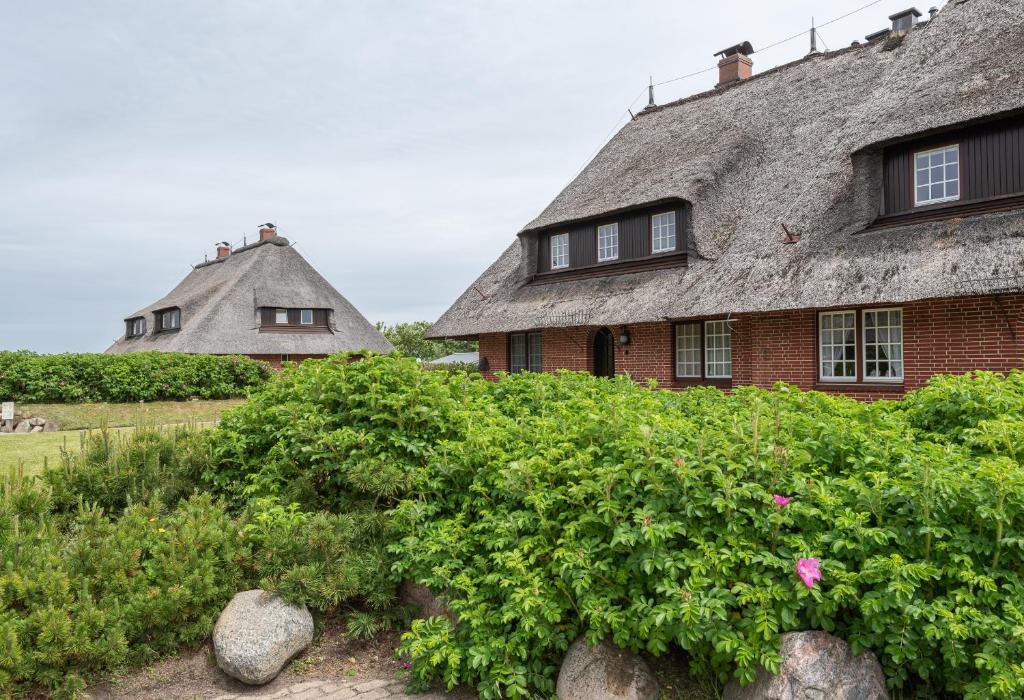 dom z dachem krytym strzechą i krzakami w obiekcie Heide Idyll w mieście Wenningstedt