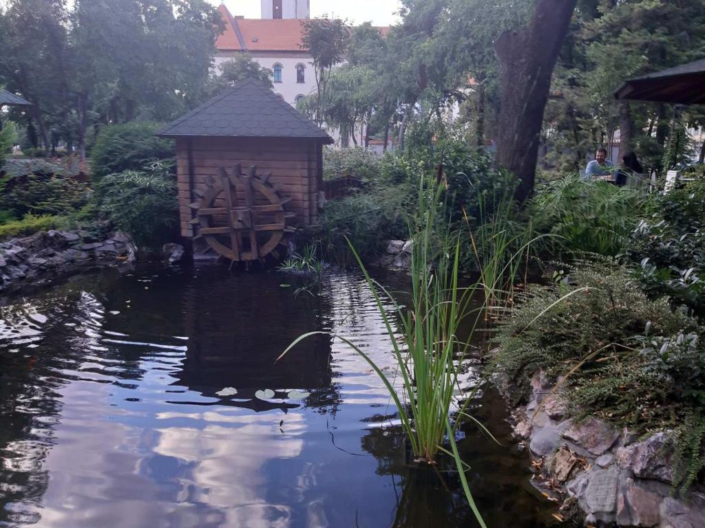 Zahrada ubytování Bački Raj