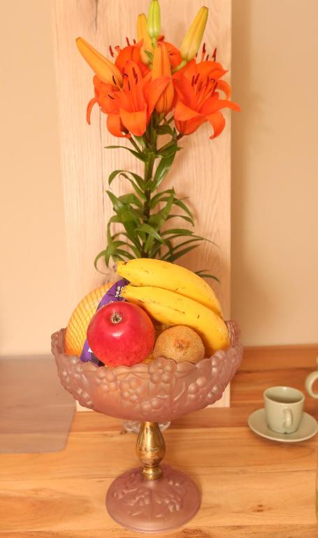 Apartments Vienna Opera - 10