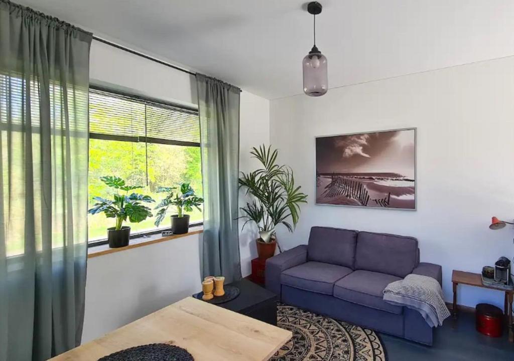 een woonkamer met een blauwe bank en een raam bij Studio tussen de bossen en de bollenvelden in Noordwijkerhout