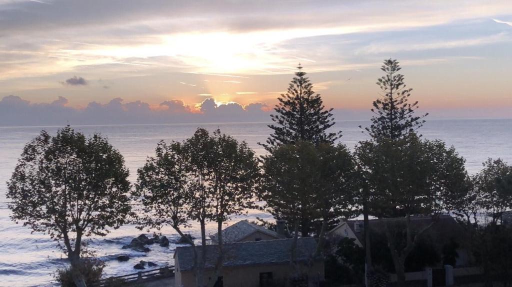 eine Gruppe von Bäumen mit Sonnenuntergang im Hintergrund in der Unterkunft Appartement face à la mer in Santa-Maria-di-Lota