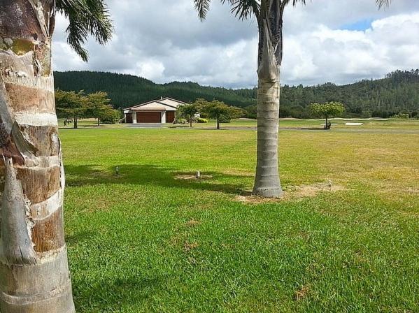una palmera y una casa en un campo en Mistry Hideout - Lakes Resort Pauanui Home, en Pauanui