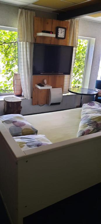 Fabrika Cvikov - Housity