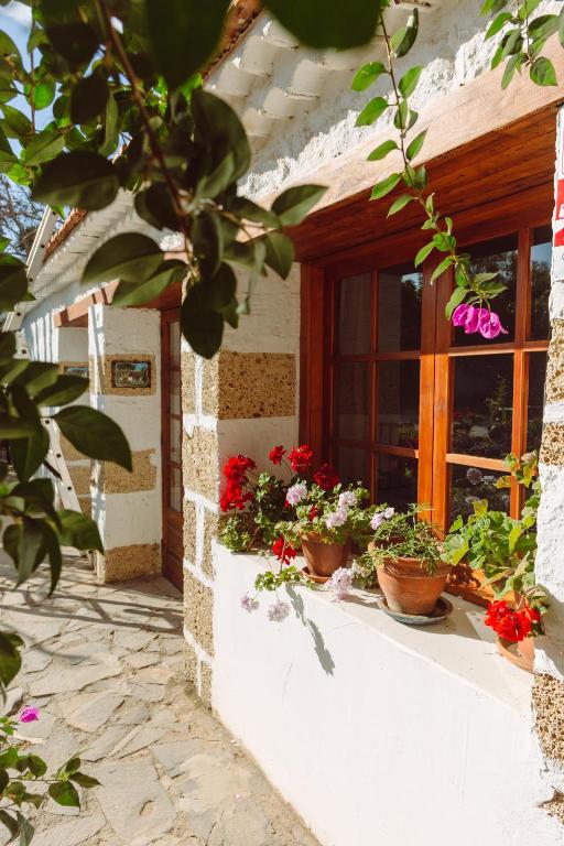 Zahrada ubytování EcoVerode Hotel Emblemático Vegetariano Vegano