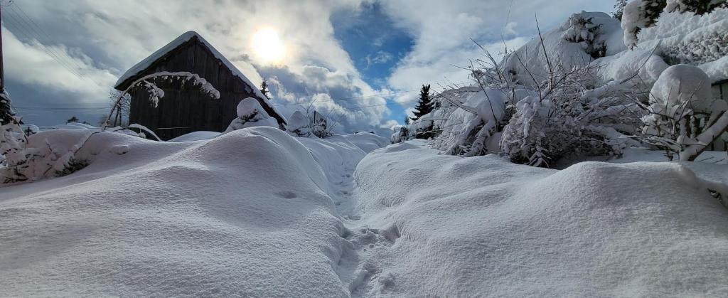Apartamenty 8 i 10 osobowe Koniakówka Resort v zime