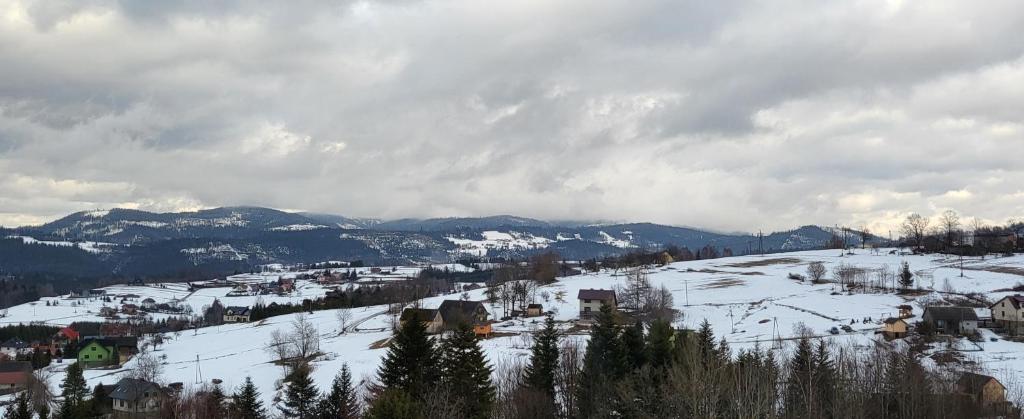 Príroda v okolí vily