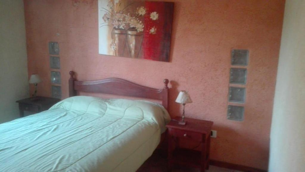 1 dormitorio con 1 cama y una foto en la pared en Mediterráneo Cabañas en Chascomús