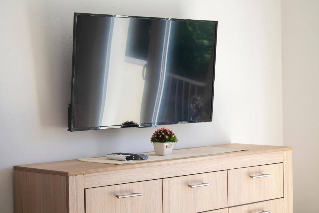 TV a/nebo společenská místnost v ubytování JTP Apartmani Ivanjica