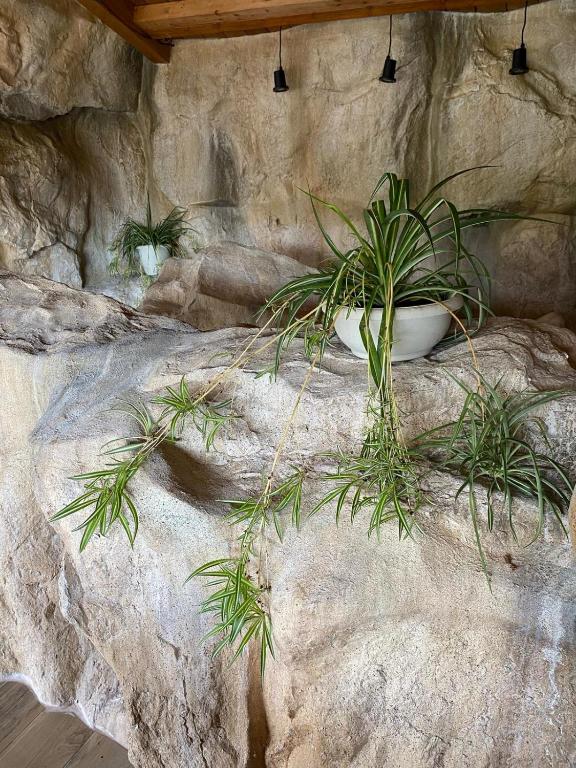 Fotografie z fotogalerie ubytování Resort Umbria Spa v destinaci Fabro