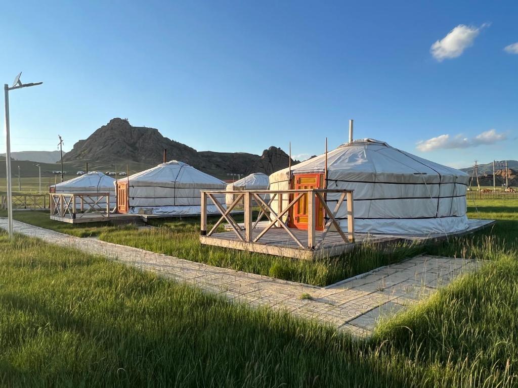 une rangée de dômes dans un champ d'herbe dans l'établissement Takhi Resort, à Yoliin Hural