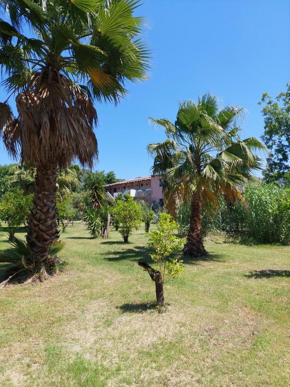 Ogród w obiekcie Villa Piersepp B&B