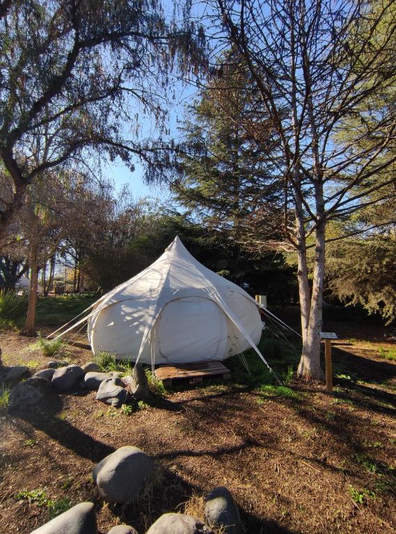 uma tenda branca sentada na relva ao lado de uma árvore em Glamping Remanso del Espíritu em Isla de Maipo