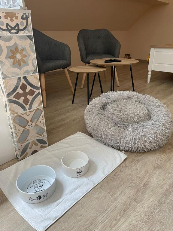 Posezení v ubytování OLGA Chambre D'hôte