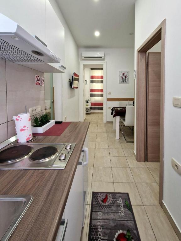 Kuchyňa alebo kuchynka v ubytovaní Apartmani Tower