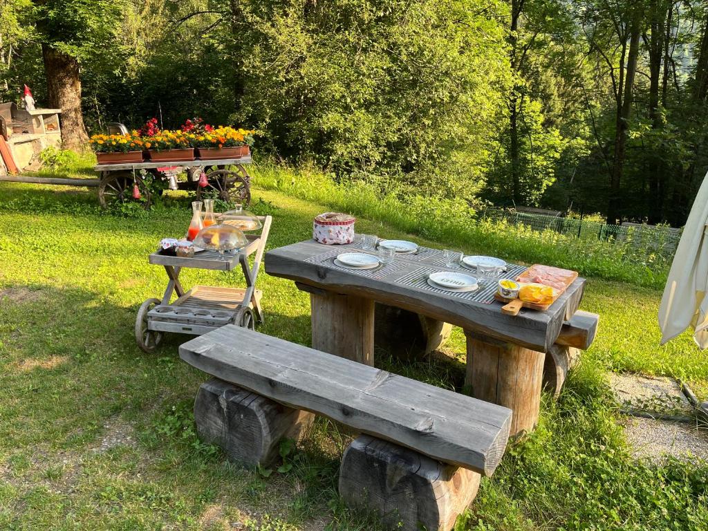 Ogród w obiekcie APPARTAMENT La locanda delle pulci Bio Welness