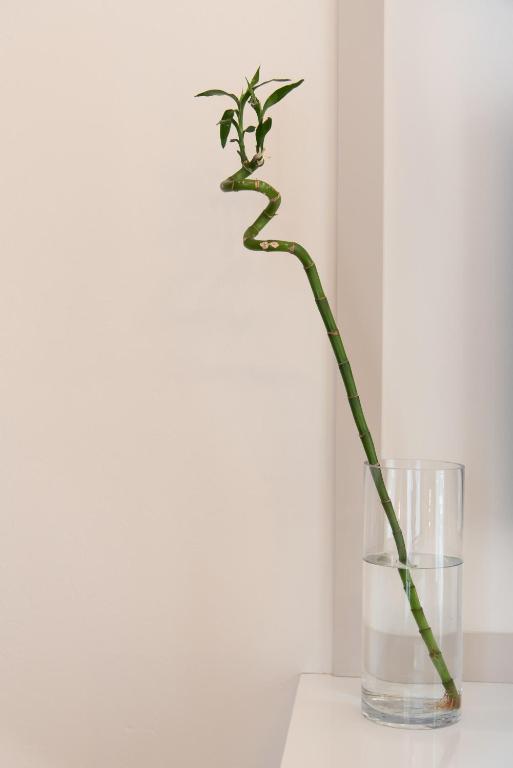 Fotografie z fotogalerie ubytování MEDLUXE LUXURY APARTMENT ! v Aténách