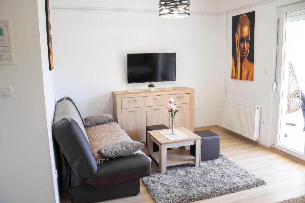 TV a/nebo společenská místnost v ubytování JTP Apartmani Ivanjica
