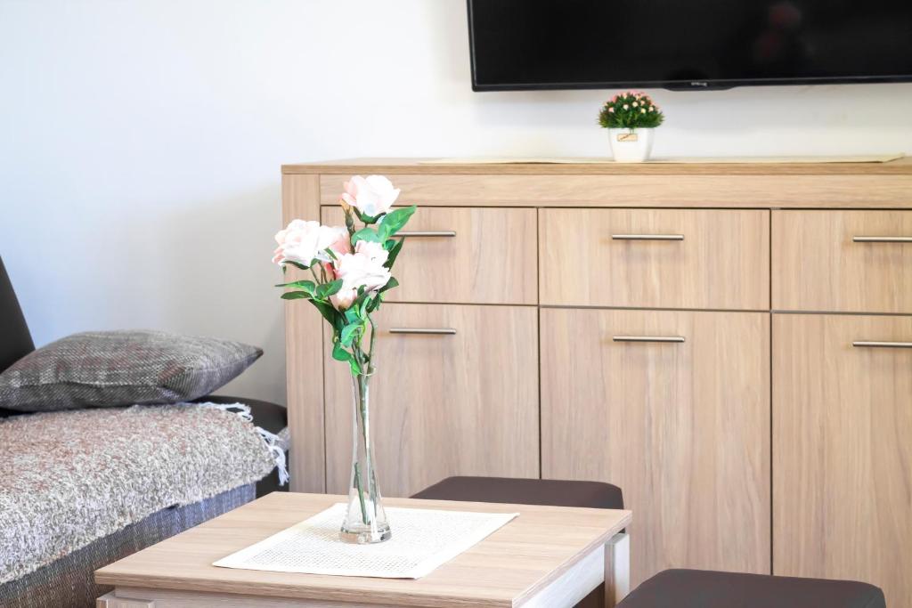 TV a/nebo společenská místnost v ubytování JTP Apartmani Ivanjica