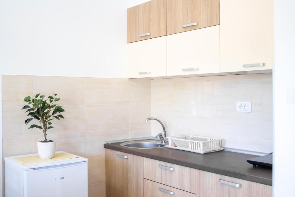 Kuchyň nebo kuchyňský kout v ubytování JTP Apartmani Ivanjica