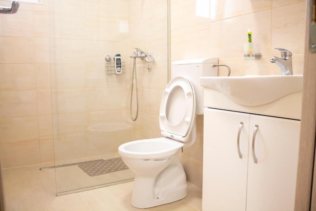 JTP Apartmani Ivanjica - Appartement D'une Chambre