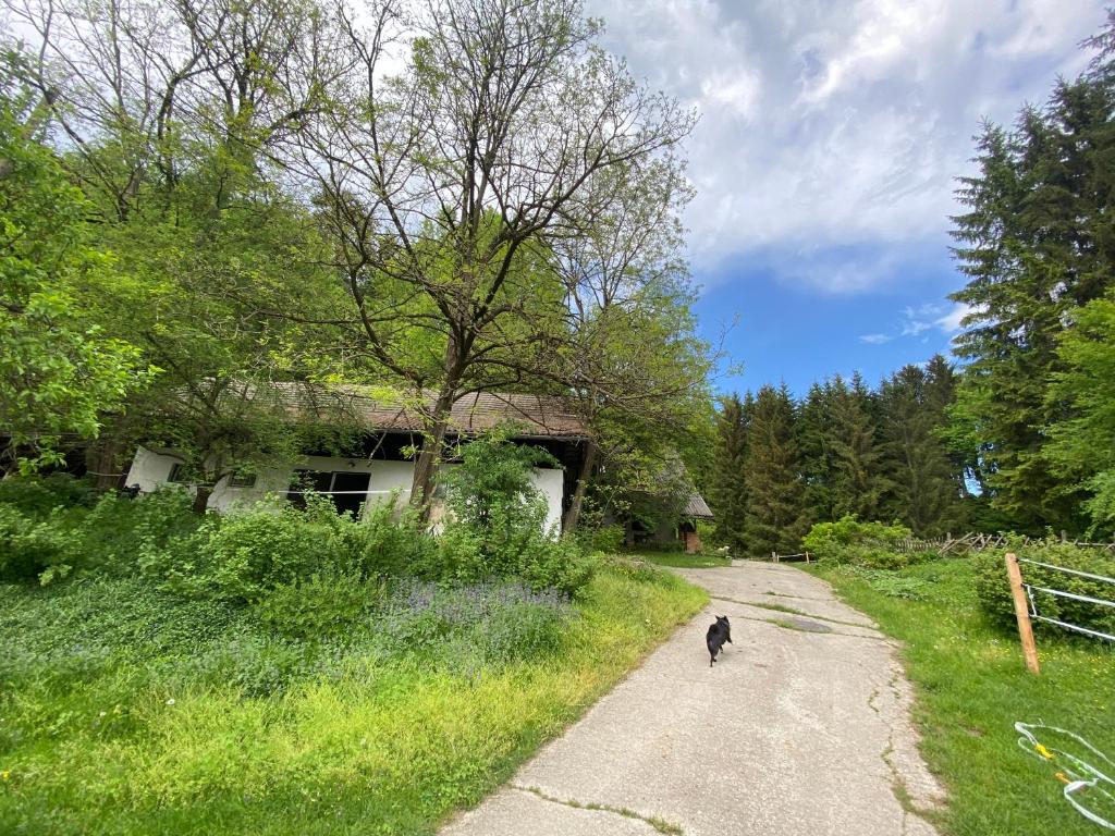 Ferienwohnung am Leisbach