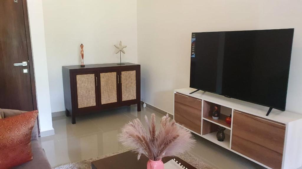 a living room with a flat screen tv at 3 Bedroom Apartment, Ariyana Resort in Athurugiriya