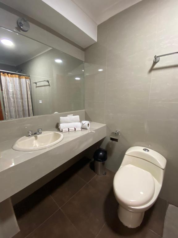 Koupelna v ubytování Hotel del Sur
