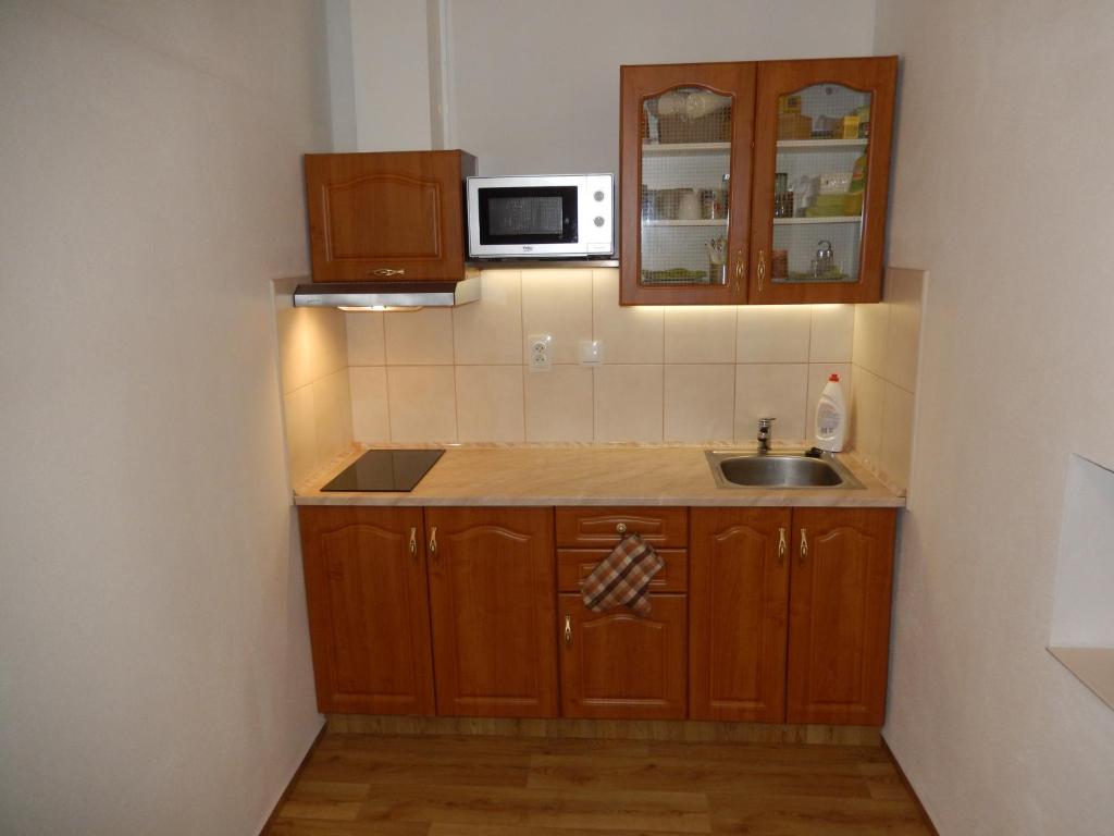 Kuchyň nebo kuchyňský kout v ubytování Ubytování Ronšperk Poběžovice