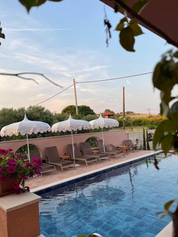 Kseynasa Suites - 13