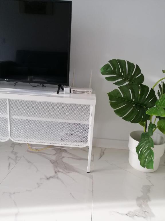 salon z telewizorem i doniczką w obiekcie Cozy beach apartment w Marbelli