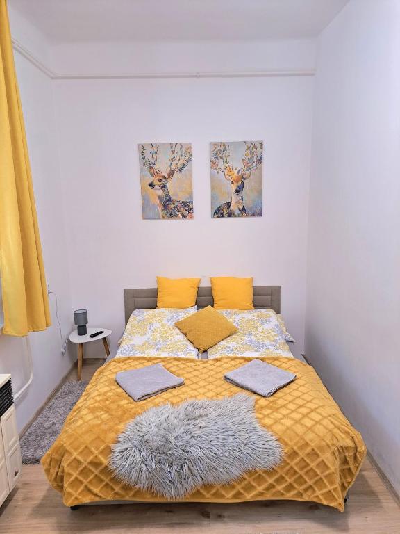 Fotografie z fotogalerie ubytování Belvárosi Lux Apartman v destinaci Vásárosnamény