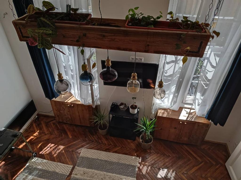 Hipster Paradise 1068 Budapest, 21 Szófia utca kép - 1