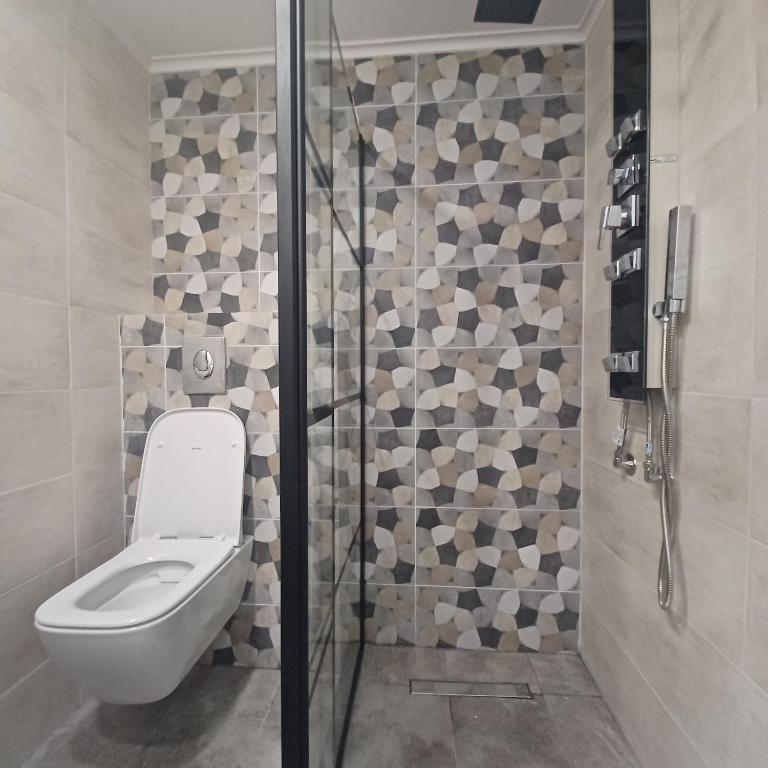 a bathroom with a toilet and a shower at Ponti Bay Apartments in Vasiliki