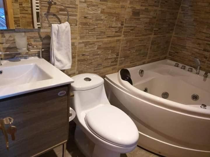a bath tub sitting next to a toilet in a bathroom at Pardo & Shackleton in Punta Arenas