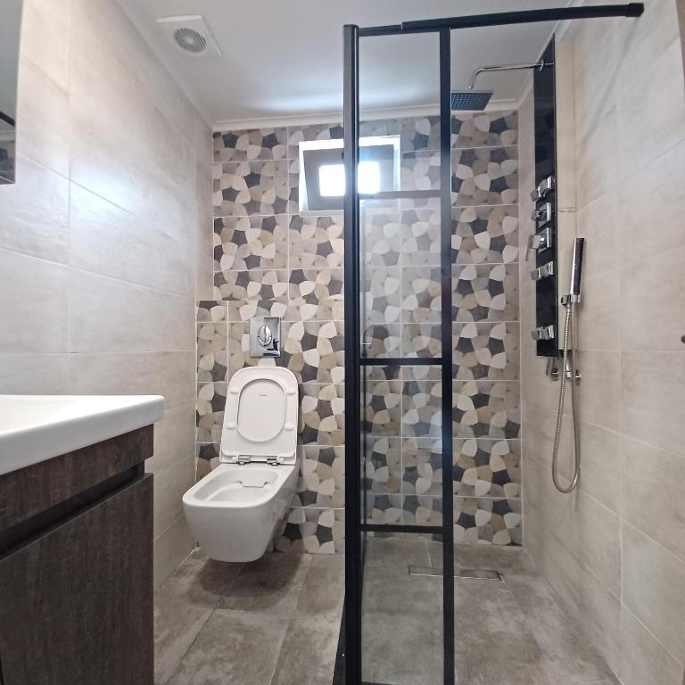 a bathroom with a toilet and a sink and a shower at Ponti Bay Apartments in Vasiliki