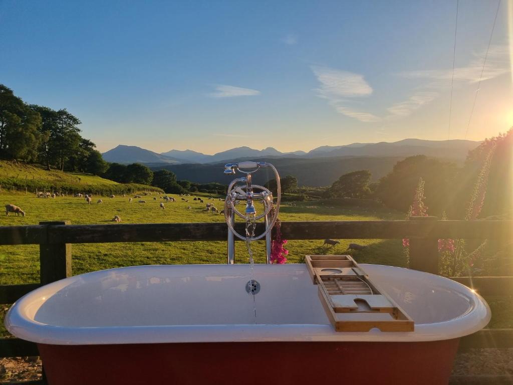 eine Badewanne mit Blick auf ein Feld in der Unterkunft Red Tub Cabin Snowdonia in Llanrwst