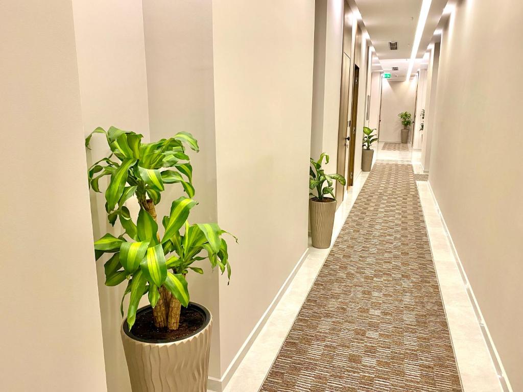 a corridor with potted plants on the walls at ELMAR HOTEL in Vlorë