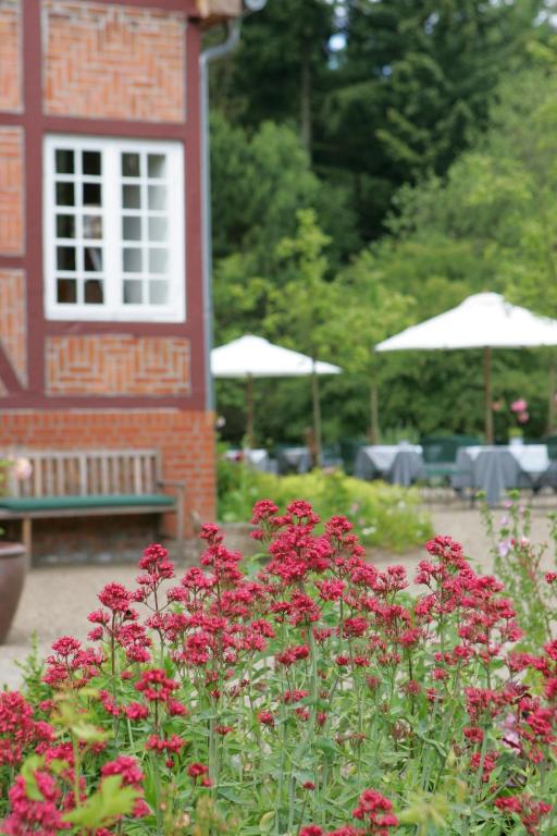 Zahrada ubytování Hotel Waldhof auf Herrenland