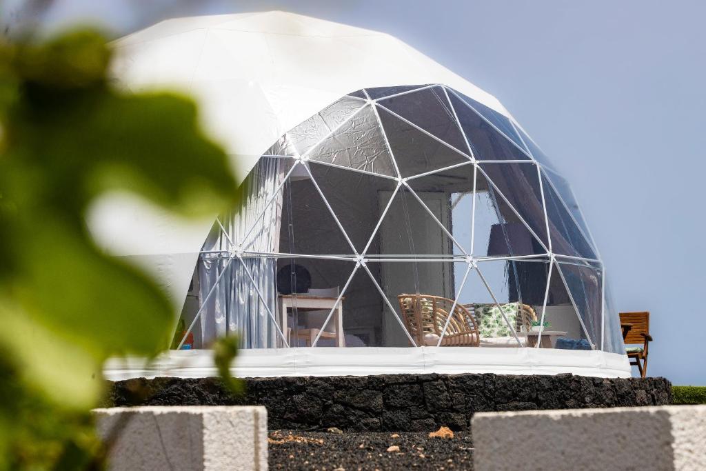 Eco Dome Experience