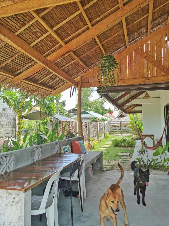 Domácí mazlíčci ubytovaní s hosty v ubytování Yas villas homestay