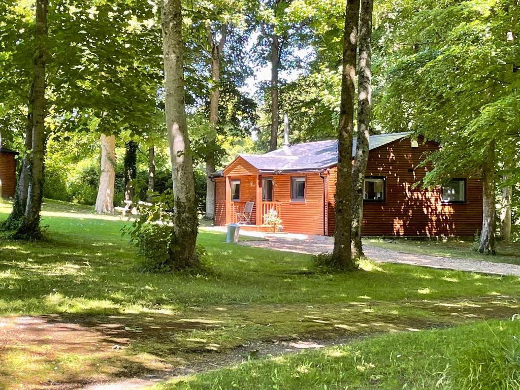 una cabaña en medio de un bosque con árboles en The Applewood Lodge en Heytesbury