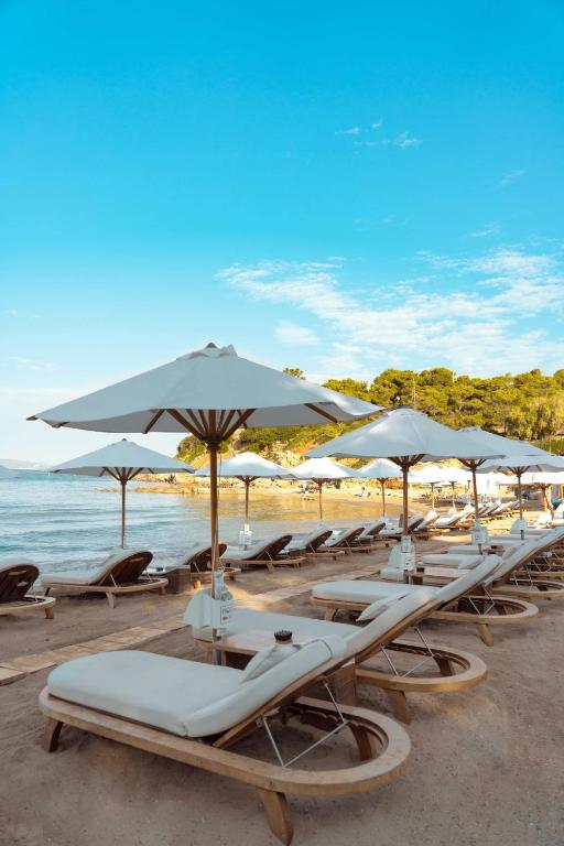 Coral Hotel Athens - Resim 45