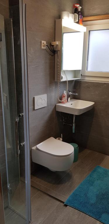 B&B St Moritz的一间浴室
