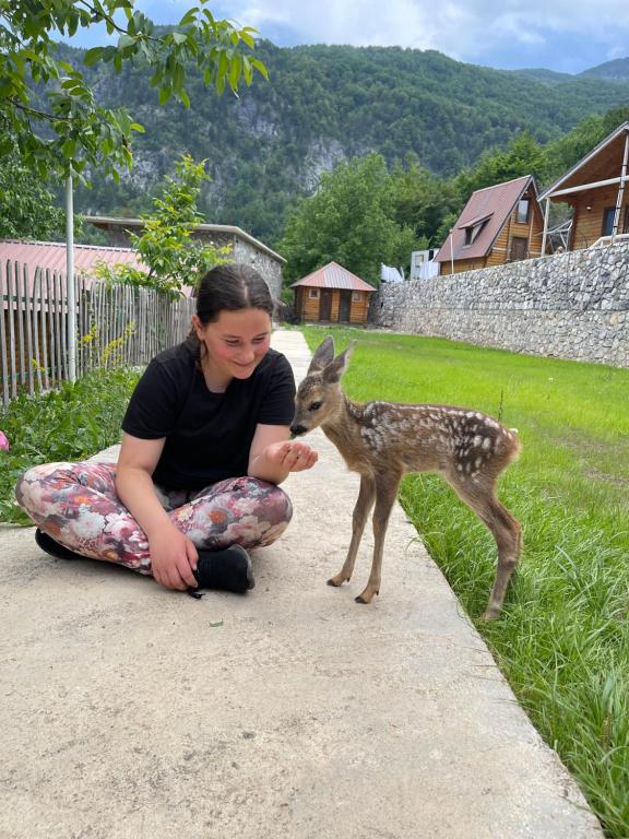 a woman is petting a baby deer on a sidewalk at Thethi Paradise Hotel & Restaurant in Theth